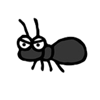 黒蟻